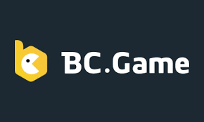 Exploring Payment Methods at BC.Game A Comprehensive Guide